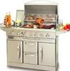 Outdoor Stainless Steel Gass Grill