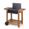 Gasgrill Lavastein Enders Gas Grill Illinois Stone