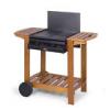 Lavastein Gasgrill Enders Illinois Gas Grill Grillwagen