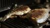 Ny ls grill tvizsgls fish