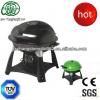 Backyard Outdoor Grill bbq grill pi