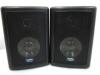 Digital Audio Indoor Outdoor Metal Grill 2 Way Speakers