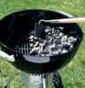 Grill Debate Gas vs Charcoal
