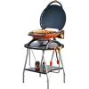 Napoleon TRAVELQ Portable Tailgate Grill
