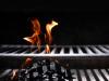 Kleine Fleischkunde Was eignet sich fr den Grill
