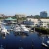 Amazon Grill Fort Myers