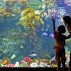 Attractions near E PIN Korean Grill House